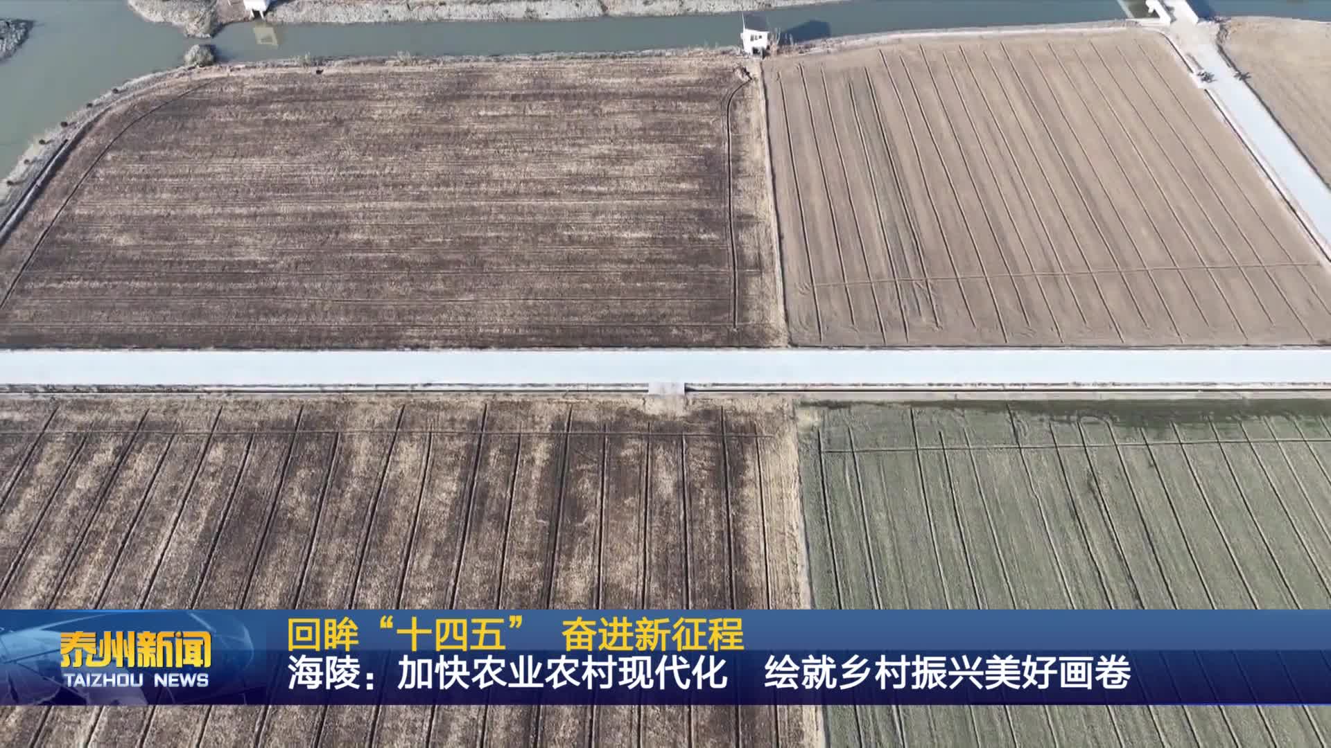 回眸“十四五” 奋进新征程  海陵：加快农业农村现代化 绘就乡村振兴美好画卷
